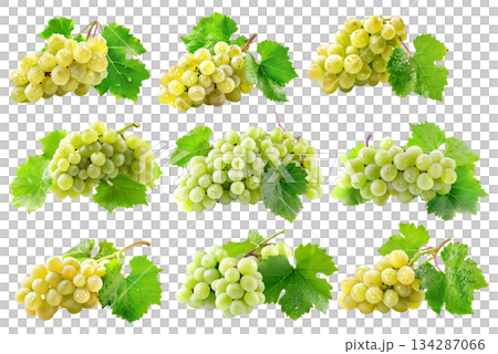 Set of white grapes hanging on the vine with green leaves, isolated on a white transparent background 134287066