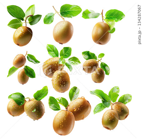 Set of kiwi fruits with vibrant green flesh and brown fuzzy skin, isolated on white transparent background. 134287067