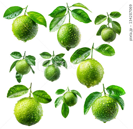 Set of green limes with fresh leaves, presented on white transparent background, freshness and citrus concept Set of green limes with fresh leaves, presented on white transparent background, freshness and citrus concept 134287069