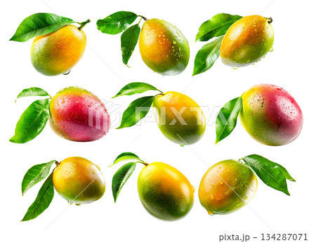 Set of mango with green leaves and water drops isolated on white transparent background Set of mango with green leaves and water drops isolated on white transparent background 134287071