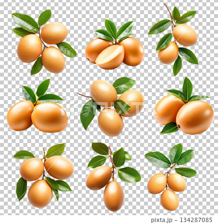 Set of sapodilla fruits with green leaves on branch, isolated on white transparent background for natural concept Set of sapodilla fruits with green leaves on branch, isolated on white transparent background for natural concept 134287085