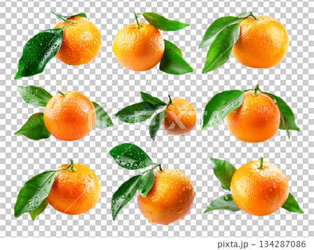 Fresh tangerine fruit with dew drops and green leaves isolated on white transparent background Fresh tangerine fruit with dew drops and green leaves isolated on white transparent background 134287086