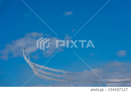 ブルーインパルス81 ブルーインパルス81 134287127