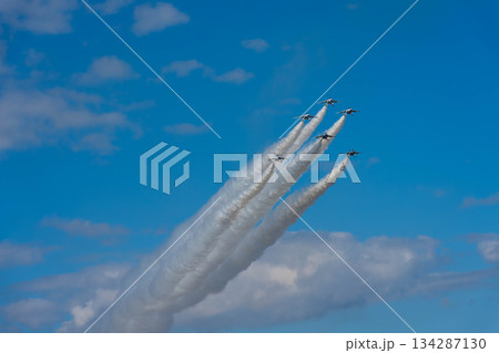 ブルーインパルス84 ブルーインパルス84 134287130