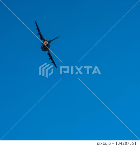F-2 (46) F-2 (46) 134287351