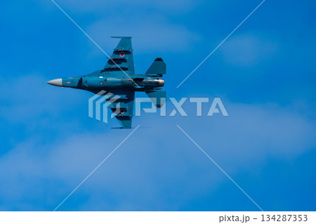 F-2 (48) 134287353