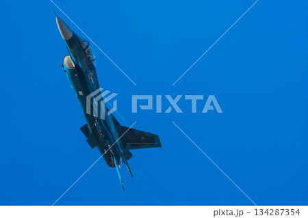 F-2 (49) 134287354