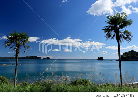 海岸に隣接する無人駅から見える太平洋の青い海と青い空 134287498