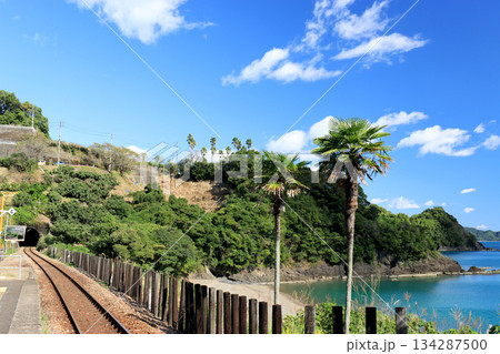 海岸に隣接する無人駅から見える太平洋の青い海と青い空 海岸に隣接する無人駅から見える太平洋の青い海と青い空 134287500
