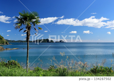 海岸に隣接する無人駅から見える太平洋の青い海と青い空 134287502
