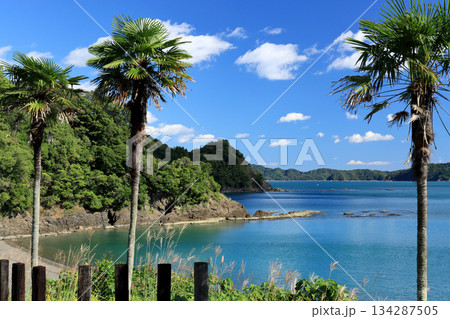 海岸に隣接する無人駅から見える太平洋の青い海と青い空 海岸に隣接する無人駅から見える太平洋の青い海と青い空 134287505