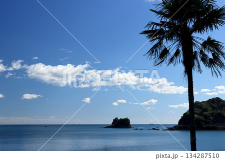 海岸に隣接する無人駅から見える太平洋の青い海と青い空 134287510