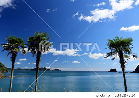 海岸に隣接する無人駅から見える太平洋の青い海と青い空 134287514