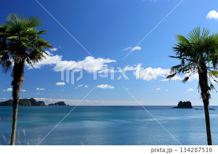 海岸に隣接する無人駅から見える太平洋の青い海と青い空 134287516