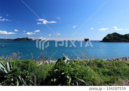 海岸に隣接する無人駅から見える太平洋の青い海と青い空 134287539