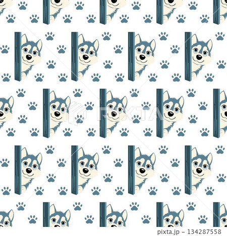 Cute husky dog seamless pattern with paws. 134287558