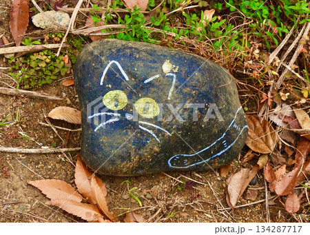 黒猫 134287717