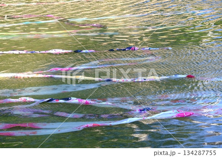 夏の鴨川の京友禅流し 夏の鴨川の京友禅流し 134287755