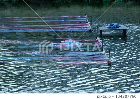 夏の鴨川の京友禅流し 夏の鴨川の京友禅流し 134287760