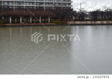 開成山公園　湖に映るビル 134287978