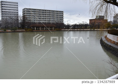 開成山公園　湖に映るビル 134287989