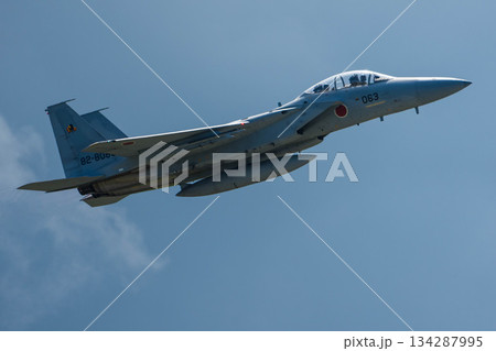 F-15 (15) 134287995