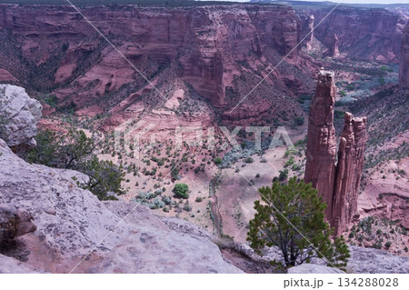 スパイダーロック左側・キャニオン・デ・チェリー スパイダーロック左側・キャニオン・デ・チェリー 134288028