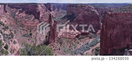 スパイダーロック・パノラマ・キャニオン・デ・チェリー 134288030