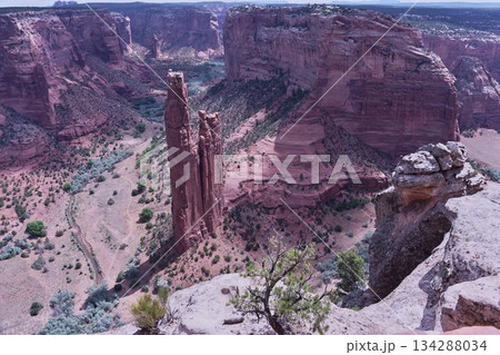 スパイダーロック全景A・キャニオン・デ・チェリー スパイダーロック全景A・キャニオン・デ・チェリー 134288034