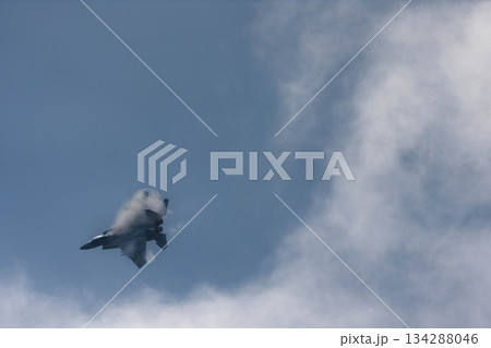 F-15 (31) F-15 (31) 134288046