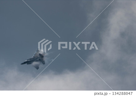 F-15 (32) F-15 (32) 134288047