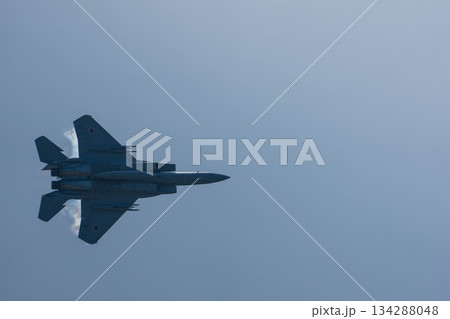 F-15 (33) F-15 (33) 134288048