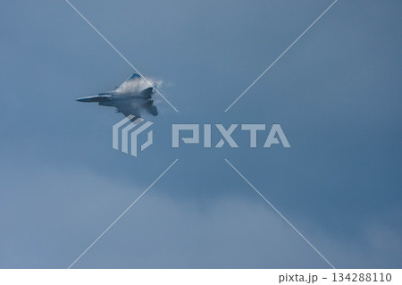 F-15 (38) 134288110