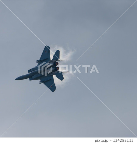 F-15 (41) F-15 (41) 134288113