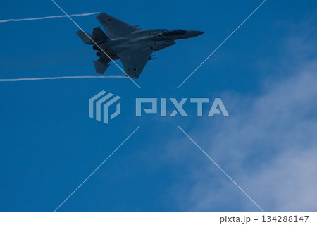 F-15 (48) F-15 (48) 134288147