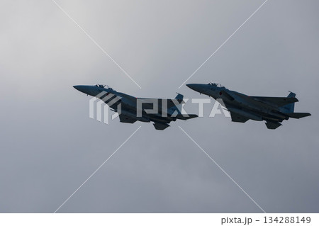 F-15 (50) F-15 (50) 134288149