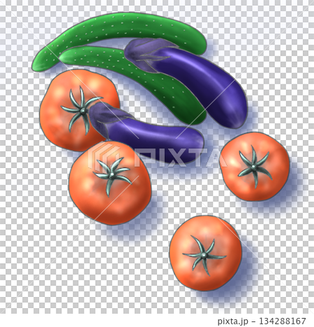 フレッシュなトマトのイラスト フレッシュなトマトのイラスト 134288167