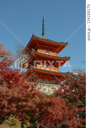 秋の清水寺　三重塔　京都市東山区清水 134288179