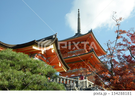 秋の清水寺 西門と三重塔 京都市東山区清水 秋の清水寺 西門と三重塔 京都市東山区清水 134288181
