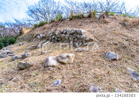 早春の下津井城跡　西の丸の石垣　岡山県倉敷市 134288383