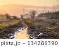 焼けの光が反射する泥道の轍：田舎道と郷愁 134288390