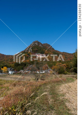 晩秋の赤神山（太郎坊山） 134288430