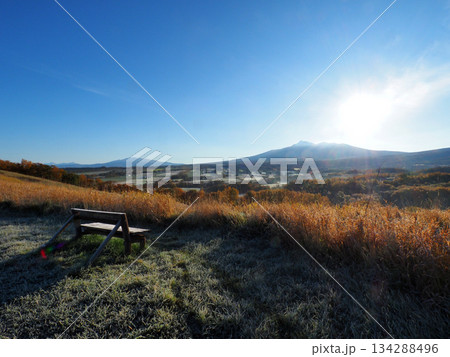 ほしかぜの丘 134288496