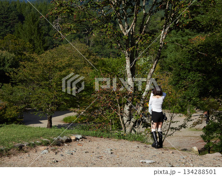 世界遺産白川郷の合掌造りの民家を撮影する若い女性観光客の姿 世界遺産白川郷の合掌造りの民家を撮影する若い女性観光客の姿 134288501