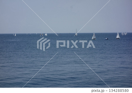 神奈川県逗子市と葉山町：遠くの海上にヨットやウィンドサーファーなどの帆が見える 134288580