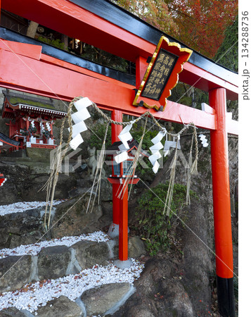 神社の境内に祀られた稲荷社 神社の境内に祀られた稲荷社 134288736