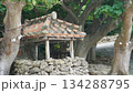 竹富島にある古い赤瓦屋根の建物 134288795