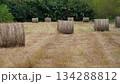 刈り草をまとめた静かな農地の風景 134288812