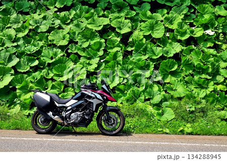 蕗とアドベンチャーバイク 134288945