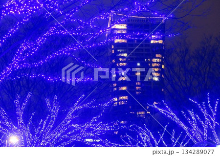 イルミネーションが輝く夜のビル群 イルミネーションが輝く夜のビル群 134289077